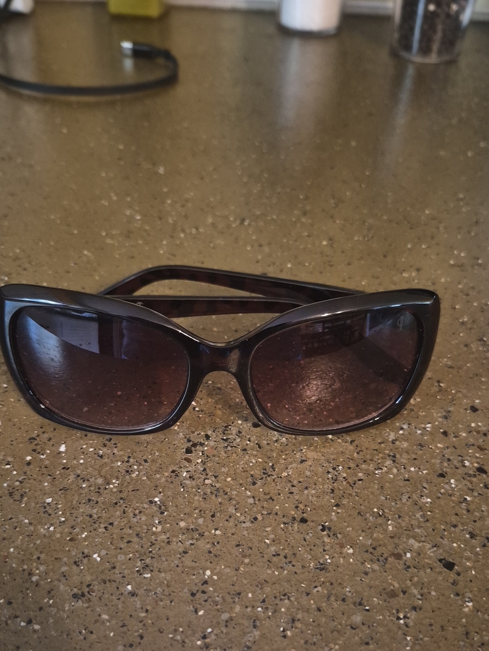 Judith Lieber Women’s Oversized Brown Gradient Sunglasses